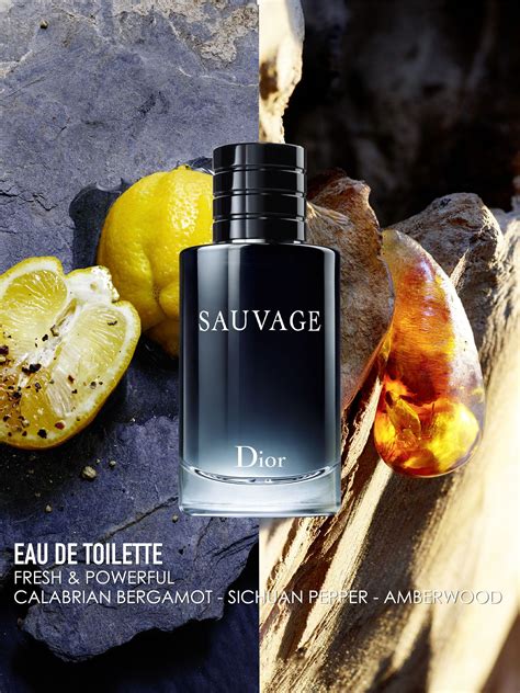 ingredients dior sauvage|sauvage Dior cologne ingredients.